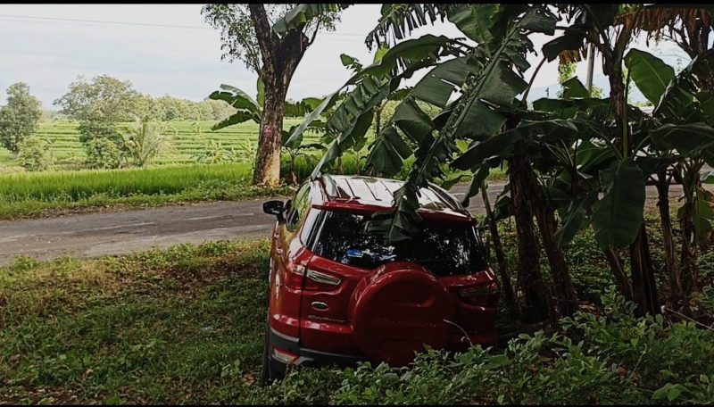 Sebuah mobil terperosok ke selokan di tepi jalan raya Ngawi-Jogorogo, Senin (26/2/2024). Foto:Ist