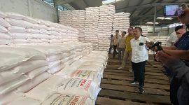 Pasokan pupuk bersubsidi. Foto : Pupuk Indonesia