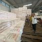 Pasokan pupuk bersubsidi. Foto : Pupuk Indonesia