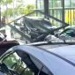 Showroom mobil mewah ditabrak Mitsubushi Xpander di Pantai Indah Kapuk (PIK) 2, Teluk Naga Kota Tangerang, Banten Foto: Ist