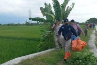 Petugas membawa jasad bayi yang ditemukan mengapung di sungai Sono untuk dilakukan otopsi. Foto: istimewa 