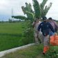 Petugas membawa jasad bayi yang ditemukan mengapung di sungai Sono untuk dilakukan otopsi. Foto: istimewa 