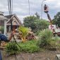 Dishub Kabupaten Madiun tertibkan kabel fiber optik ilegal yang menggantung di tiang APJ KPBU. 