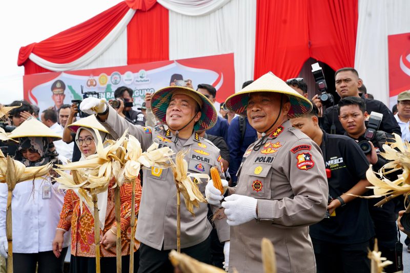 Irwasum Polri pimpin panen raya jagung di Kabupaten Madiun. Foto : Humas Polres Madiun