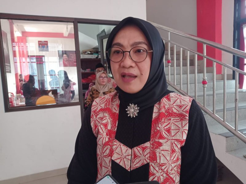 Anggota DPR RI sekaligus Wakil Sekretaris Jenderal DPP PDI Perjuangan, Sadarestuwati.