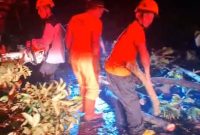 Petugas BPBD Kabupaten Madiun membersihkan pohon tumbang akibat angin kencang yang menerjang wilayah Kecamatan Dagangan, Minggu malam (21/9/2025). 