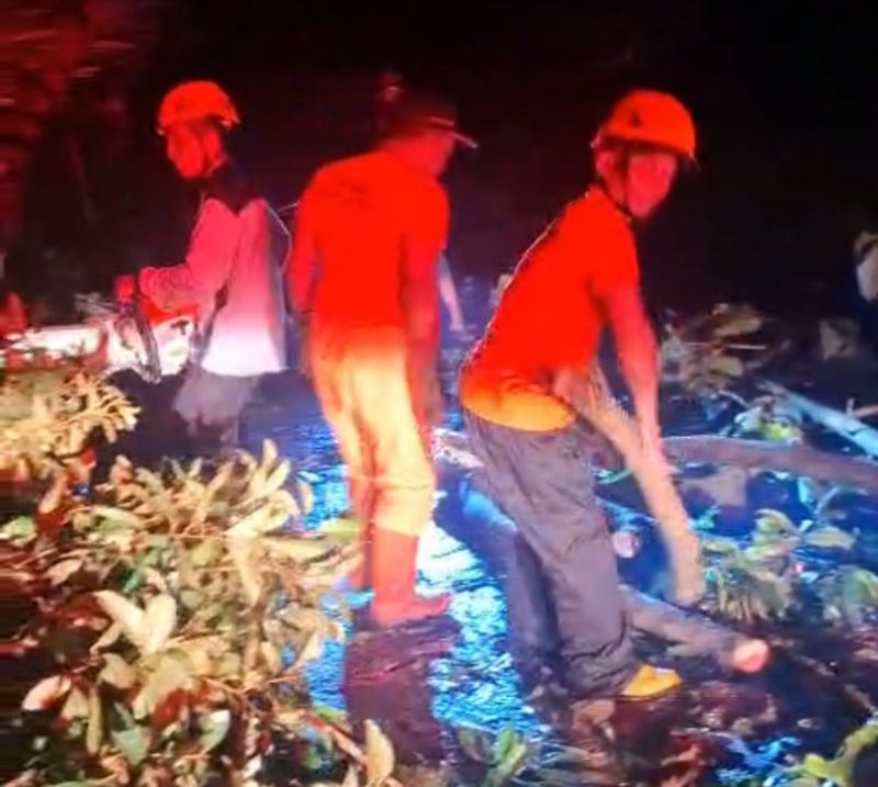 Petugas BPBD Kabupaten Madiun membersihkan pohon tumbang akibat angin kencang yang menerjang wilayah Kecamatan Dagangan, Minggu malam (21/9/2025). 