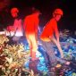Petugas BPBD Kabupaten Madiun membersihkan pohon tumbang akibat angin kencang yang menerjang wilayah Kecamatan Dagangan, Minggu malam (21/9/2025). 