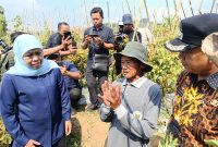 Wagimun (tengah), petani tomat asal Dusun Seweru, Desa/Kecamatan Kare, menyampaikan keluh kesah soal harga tomat yang anjlok saat dikunjungi Gubernur Jatim Khofifah dan Wabup Madiun dr. Purnomo Hadi, Jumat (26/9/2025) 