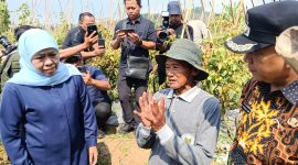 Wagimun (tengah), petani tomat asal Dusun Seweru, Desa/Kecamatan Kare, menyampaikan keluh kesah soal harga tomat yang anjlok saat dikunjungi Gubernur Jatim Khofifah dan Wabup Madiun dr. Purnomo Hadi, Jumat (26/9/2025) 