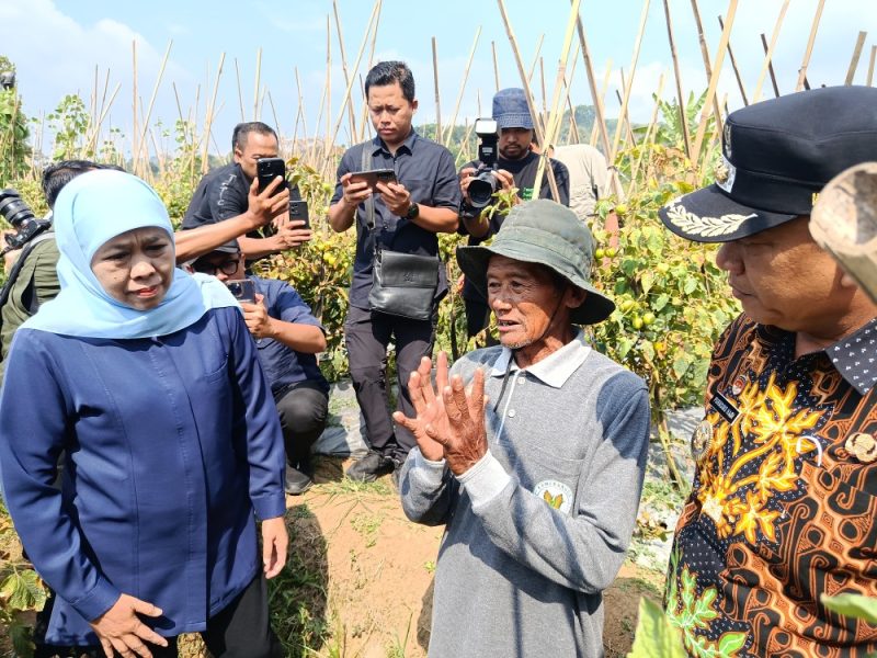 Wagimun (tengah), petani tomat asal Dusun Seweru, Desa/Kecamatan Kare, menyampaikan keluh kesah soal harga tomat yang anjlok saat dikunjungi Gubernur Jatim Khofifah dan Wabup Madiun dr. Purnomo Hadi, Jumat (26/9/2025) 