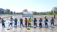 Gerakan Percepatan Tanam Serempak seluruh Kota dan Kabupaten se-Jawa Timur yang digelar di Desa Sumberejo, Kecamatan Madiun, Kamis (23/4/2026).