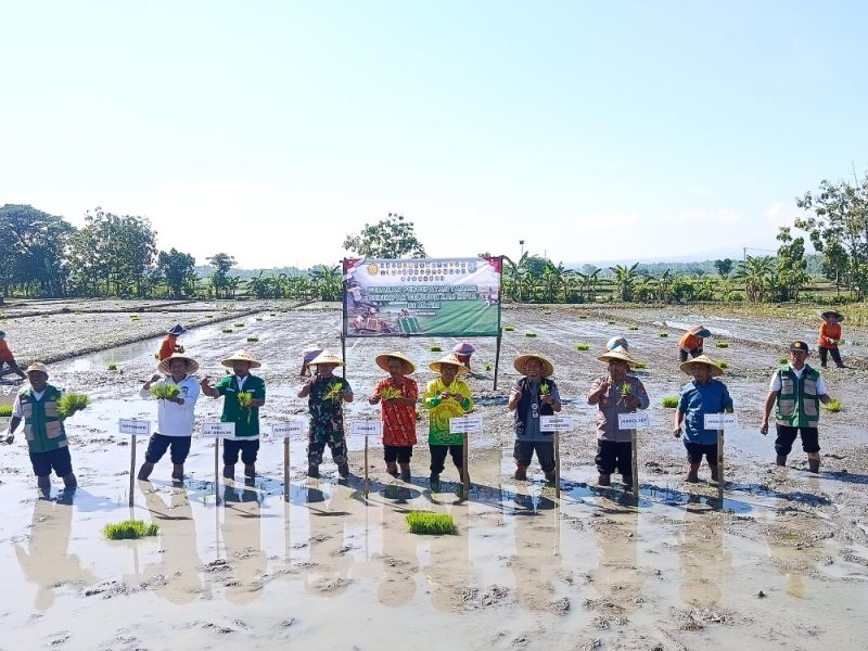 Gerakan Percepatan Tanam Serempak seluruh Kota dan Kabupaten se-Jawa Timur yang digelar di Desa Sumberejo, Kecamatan Madiun, Kamis (23/4/2026).